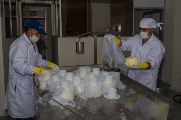 empaque y envasado de queso