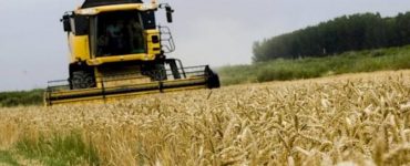 cosecha de cereales