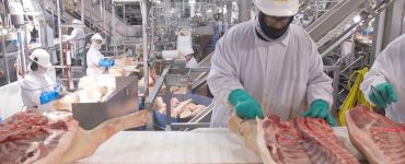 Trabajadores de procesamiento de alimentos