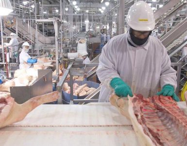 Trabajadores de procesamiento de alimentos