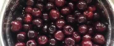 plantar, cultivar cosechar manualmente frutas incluidas manzanas y cerezas