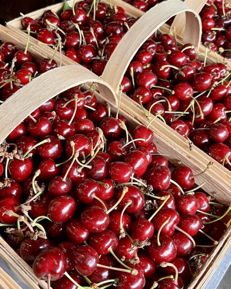 Trabajadores agrícolas para cosecha y empaque de frutas y verduras
